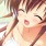 山茶花(読みはさざんか